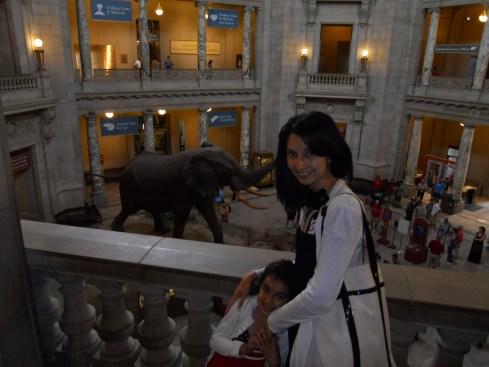 natural_history_museum