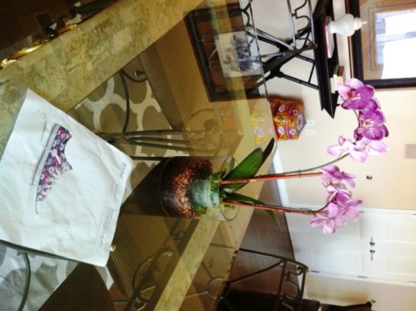 Design_shoes_converse