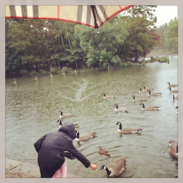 Final bird visit in Hyde Park.